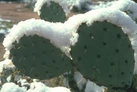Scottsdale Winter Heating Tips
