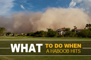 haboob dust storm tips